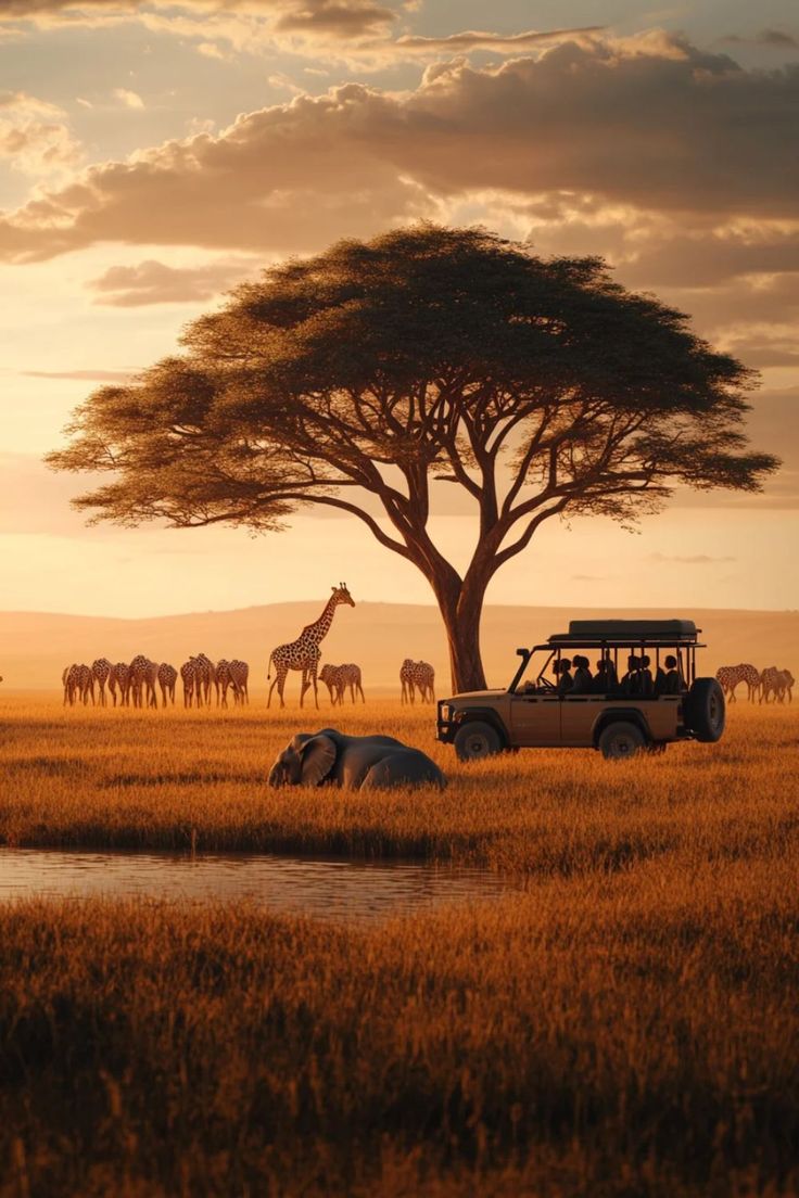 Tanzania